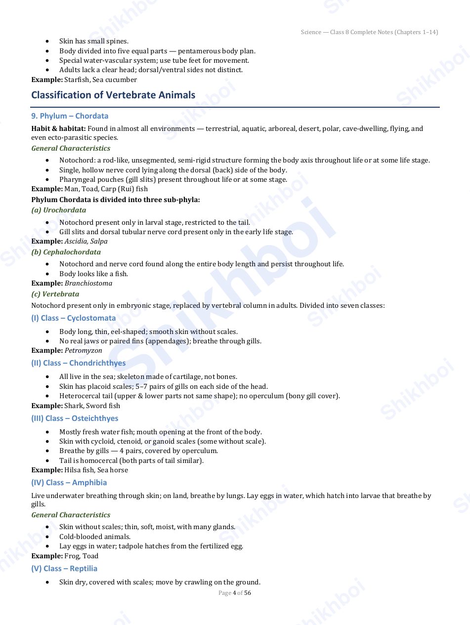 Sample page 4